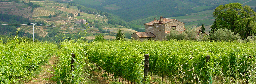 Wein Und Mehr Info Emilia Romagna